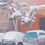 neve2012