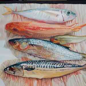 fishstillife